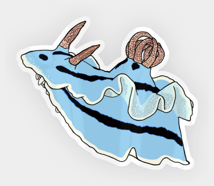 Photo of the a blue nudibranch sticker cutout